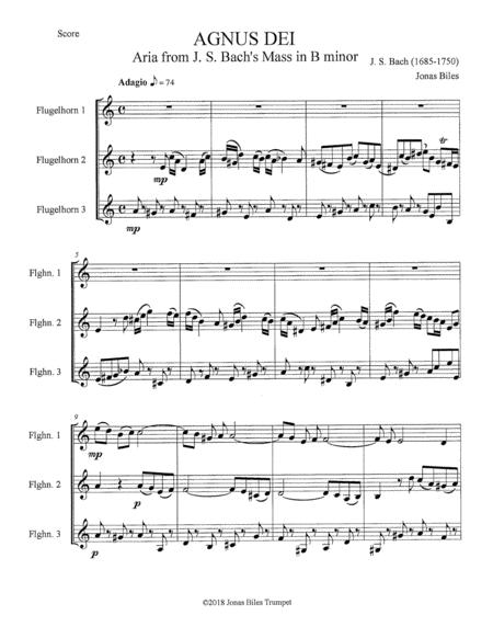 Free Sheet Music Agnus Dei Aria From Bach B Minor Mass