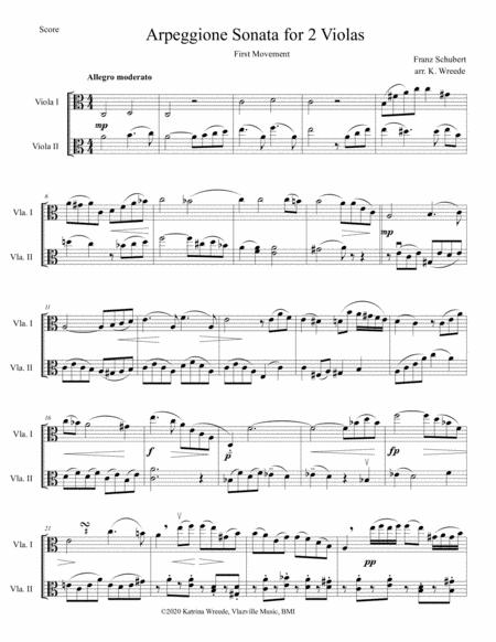 Arpeggione Sonata By Schubert Mvt 1 For Viola Duet Sheet Music