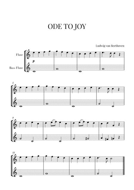 Beethoven Ode To Joy For Flute And Bass Flute Sheet Music