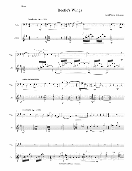 Beetles Wings For Cello And Guitar Sheet Music