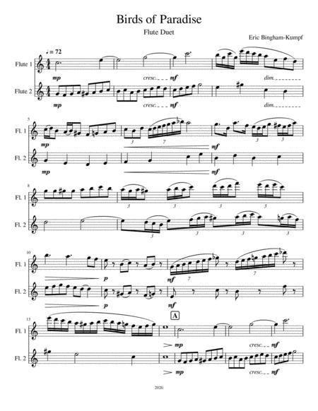 Birds Of Paradise Sheet Music