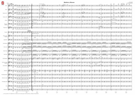 Blackberry Blossom For Mixed School Orchestra Sheet Music