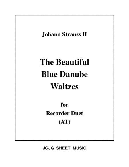 Blue Danube Waltzes For Recorder Duet Sheet Music