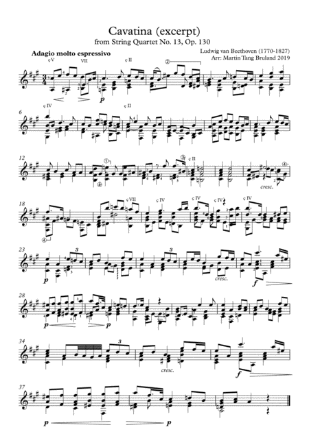 Cavatina From Beethoven String Quartet No 13 Excerpt For Guitar Sheet Music