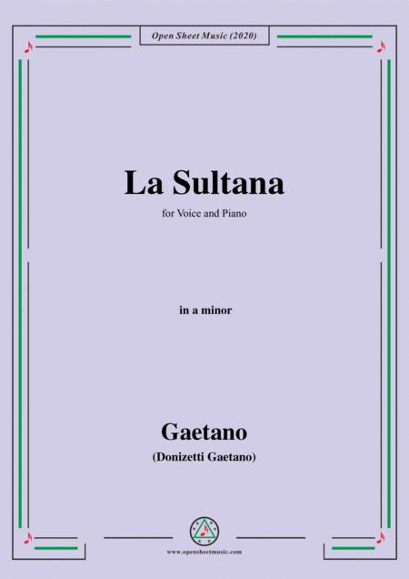 Free Sheet Music Donizetti La Sultana In A Minor For Voice And Piano