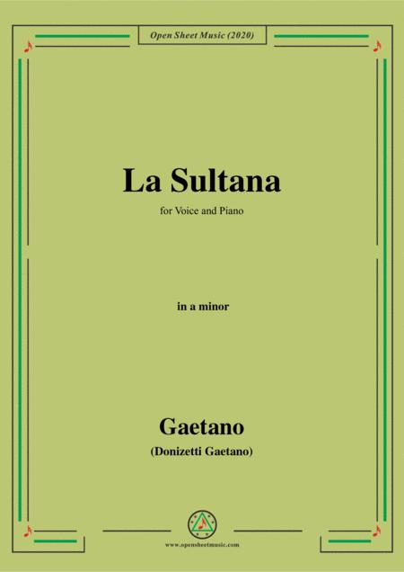 Donizetti La Sultana In B Flat Minor For Voice And Piano Sheet Music