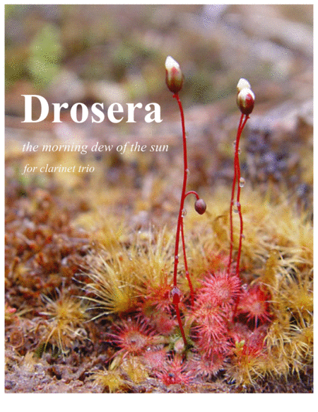 Drosera The Morning Dew Of The Sun Sheet Music