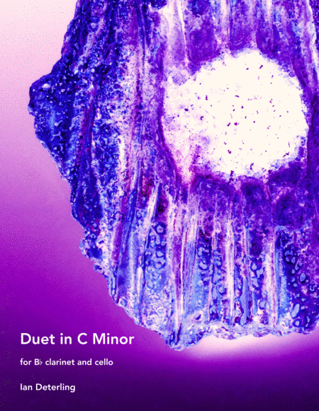 Duet In C Minor For Clarinet And Cello Sheet Music