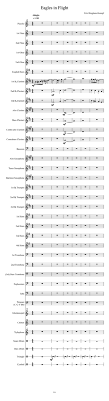 Eagles In Flight Sheet Music