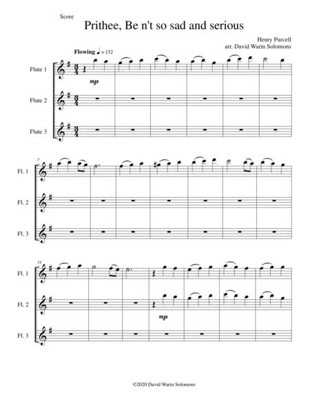 Eight Classical And Traditional Canons For 3 Flutes Sheet Music