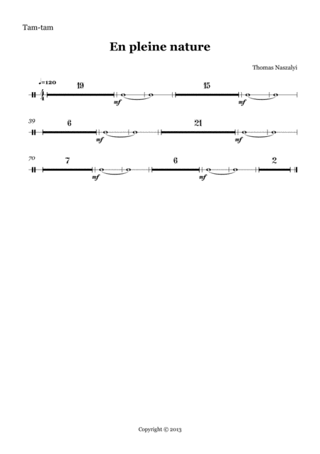 En Pleine Nature Tam Tam Part Sheet Music