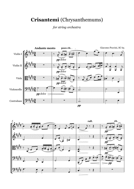 Free Sheet Music G Puccini Crisantemi String Orchestra Score And Parts