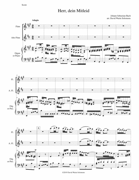 Herr Dein Mitleid From The Christmas Oratorio Weihnachtsoratorium Arranged For Flute Alto Flute And Organ Or Piano Sheet Music