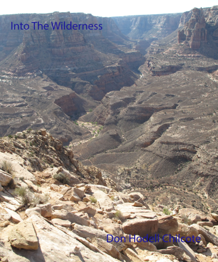 Into The Wilderness Sheet Music