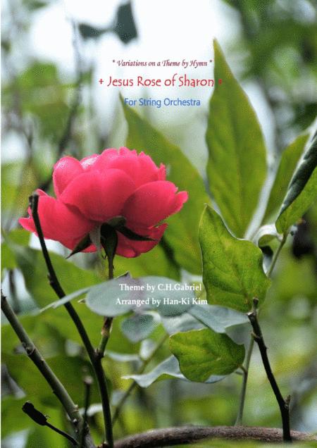 Jesus Rose Of Sharon For String Orchestra Sheet Music