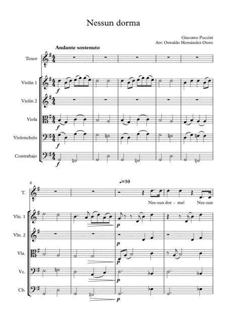 Nessun Dorma Strings And Voice Sheet Music