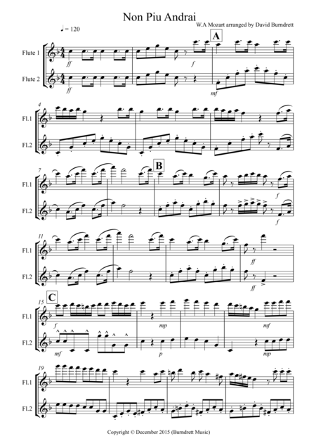 Non Pi Andrai For Flute Duet Sheet Music