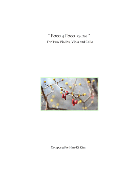 Poco A Poco For String Quartet Sheet Music