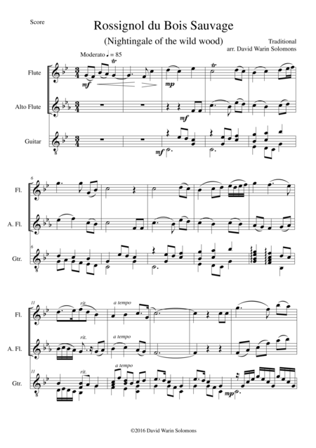 Free Sheet Music Rossignol Du Bois Sauvage For Flute Alto Flute And Guitar