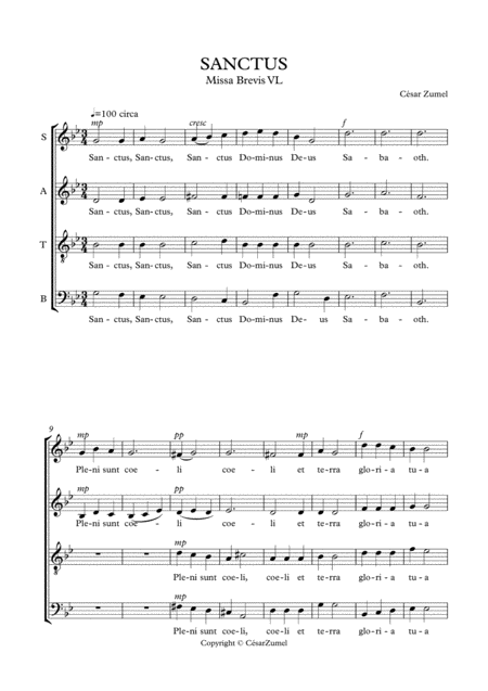 Sanctus Vl Missa Brevis Sheet Music