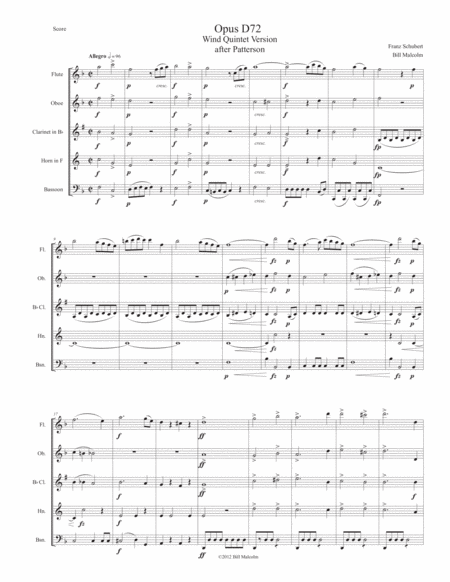 Schubert Opus 72 1st Movement For Wind Quintet Sheet Music