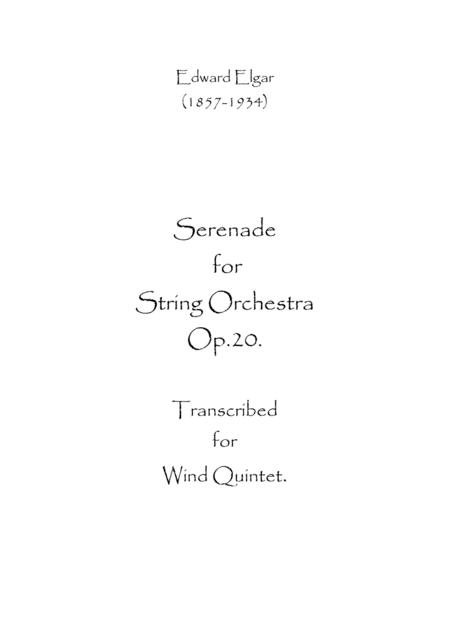 Serenade For String Orchestra Op 20 Sheet Music