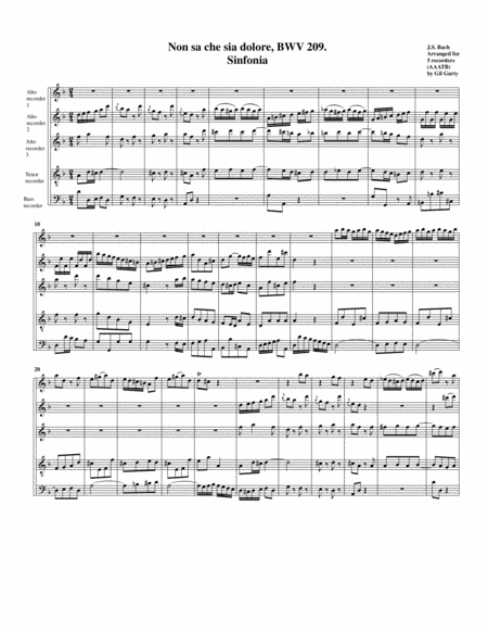 Sinfonia From Cantata Bwv 209 Arrangement For 5 Recorders Sheet Music