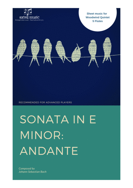 Free Sheet Music Sonata In E Minor Andante