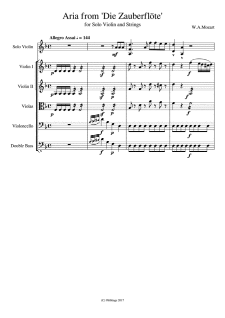 String Chamber Series Magic Flute Sheet Music