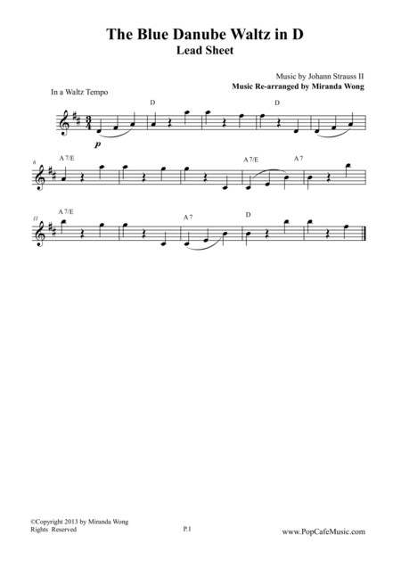 The Blue Danube Waltz In D Key Lead Sheet Sheet Music