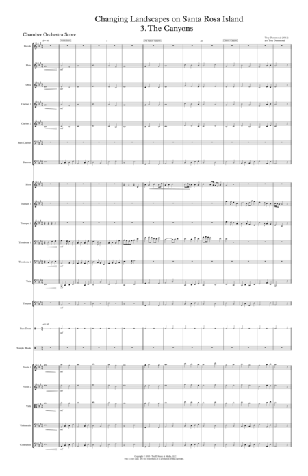 The Canyons And Their Moods Sheet Music