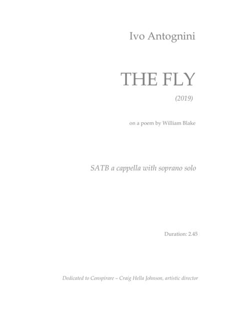 The Fly Sheet Music