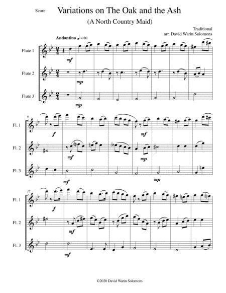 Free Sheet Music Variations On The Oak And The Ash A North Country Maid For Flute Trio 3 C Flutes