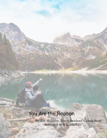 You Are The Reason Violin Solo With Piano Accompaniment Sheet Music