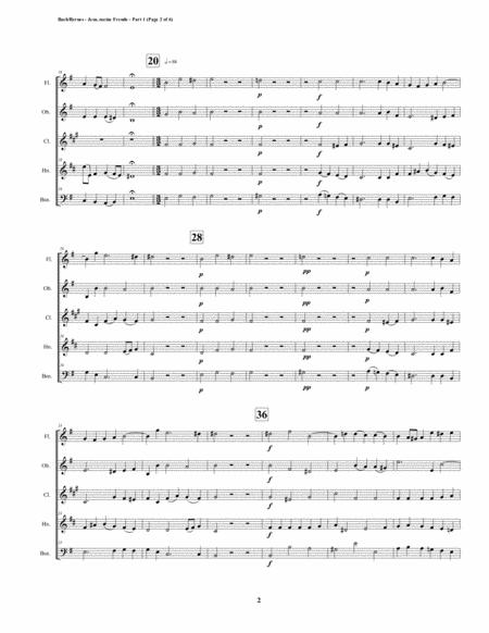 Jesu Meine Freude Part 1 By Js Bach For Woodwind Quintet Page 2