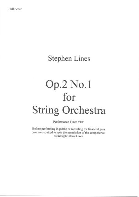 Op 2 No 1 For String Orchestra Page 2