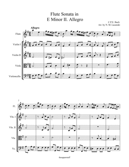 Sonata In E Minor For Flute And String Quartet Ii Allegro Page 2