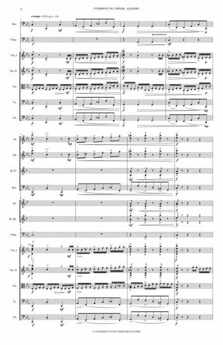 Symphony In C Minor The Fitch Symphony 1st Movement Allegro Agitato Page 2
