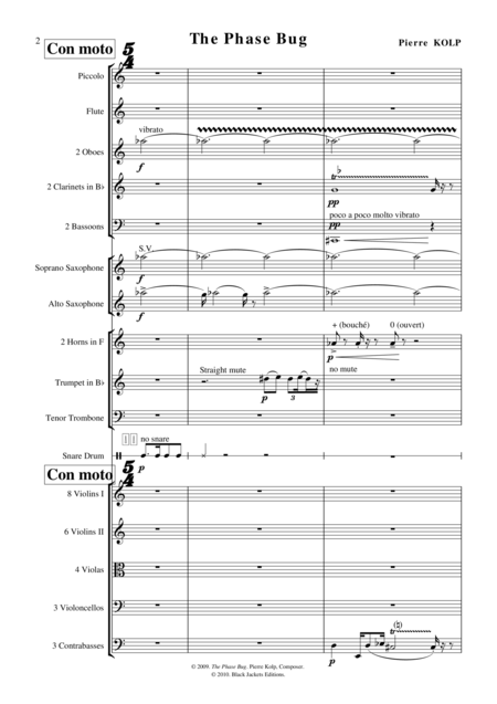 The Phase Bug For Chamber Orchestra Page 2