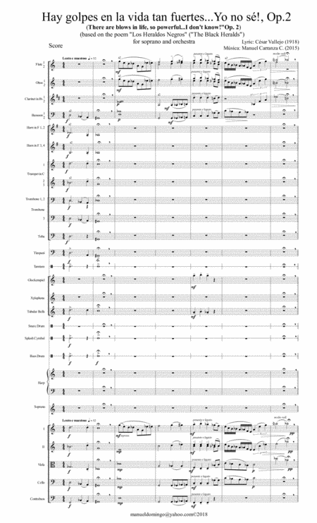 There Are Blows In Life So Powerful I Dont Know Op 2 Orchestral Version Page 2