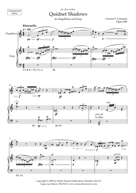 Toxic Chickens For Flute And Piano Page 2