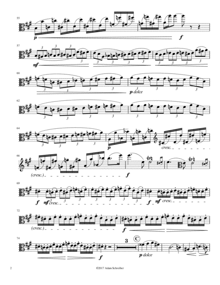 Viola Concerto In A Major Op 60 Neruda Page 2