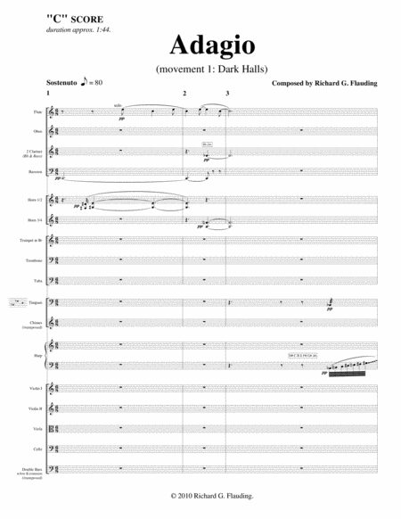 Adagio Orchestra Page 2