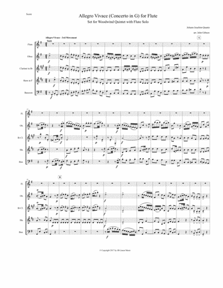 Allegro Vivace Concerto In G For Flute Set For Woodwind Quintet Page 2