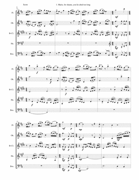 Ave Maria For 2 Part Choir High Key Organ Accompaniment Page 2