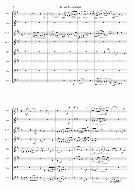 Brahms Symphony No 4 4 Allegro Energico E Passionato Transposed Horn In C Page 2