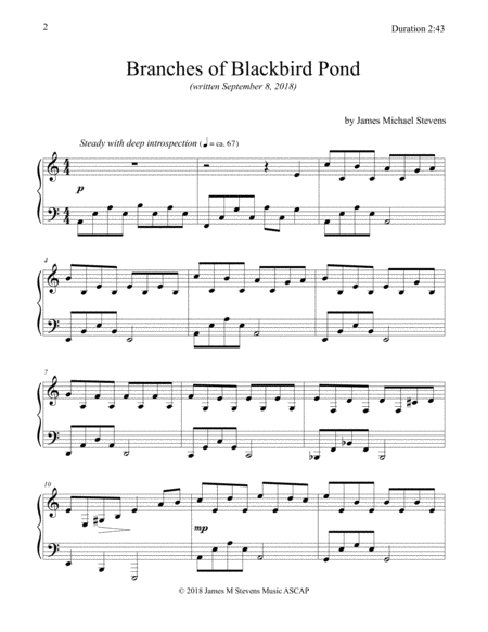 Branches Of Blackbird Pond Reflective Piano Page 2