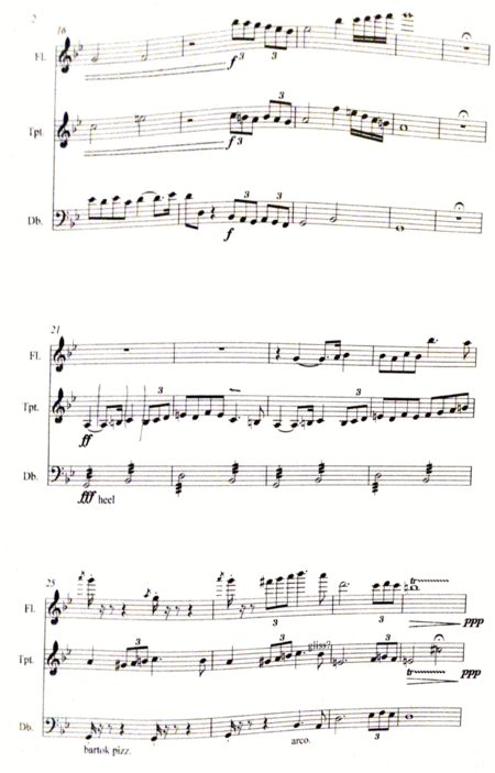 Breakdancing To Faures Pavane For Flute Double Bass And Trumpet Page 2