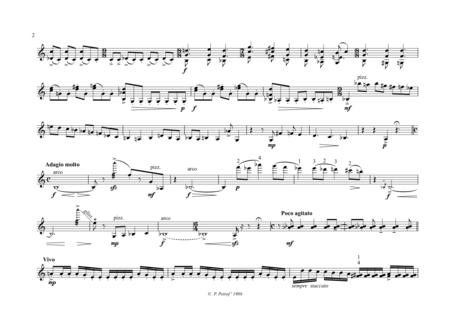 Capricio For Violino Solo Page 2