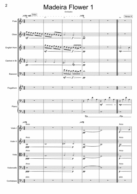 Cc018orc Madeira Flower The Lady Orchestra Page 2